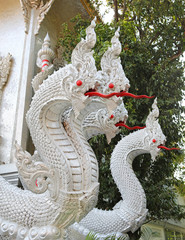 Fototapeta premium The great white Naga statue in the temple
