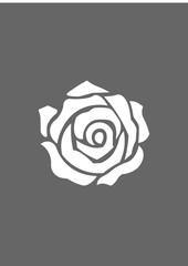 Rose icon, Vector