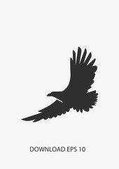 Eagle icon, Vector