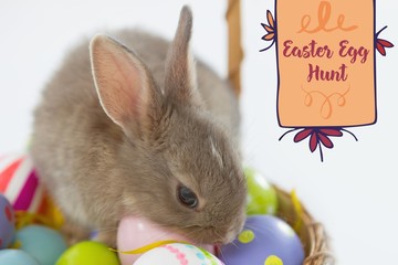 Composite image of te252_hndr_frames_mix_1