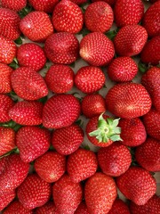 Erdbeeren 