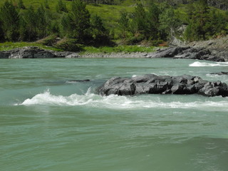 Riffle on a mountain river
