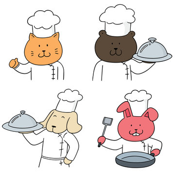 vector set of animal chef