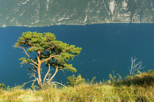 View to Lago di Gardo from Punta Larici, Alps, Italy