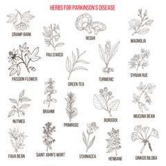 Best natural herbs for parkinson disease - obrazy, fototapety, plakaty