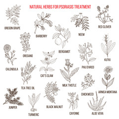 Best natural herbs for psoriasis treatment