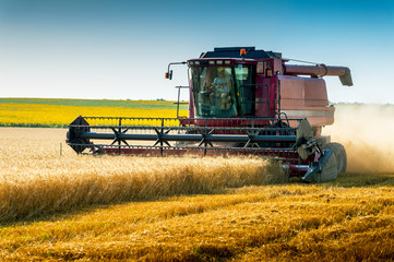 Harvester in wheat field