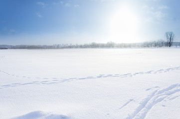 Fototapeta na wymiar beautiful winter rural landscape with river, trees, field and snow