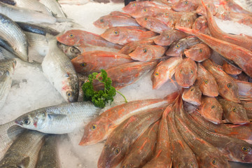 Fish on ice on market