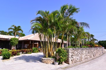 Fototapeta premium 竹富島