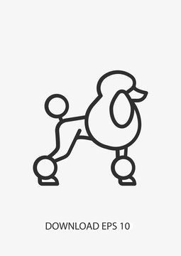 Poodle dog icon, Vector