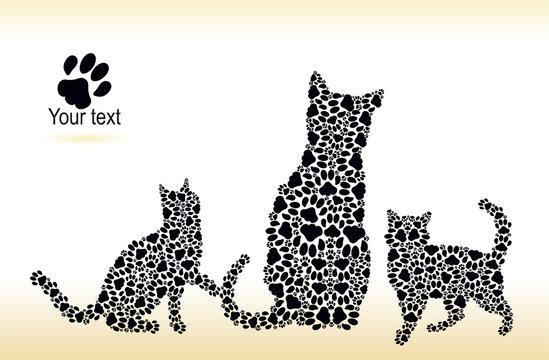 Silhouettes of cat and kittens from the cat tracks