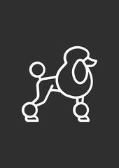 Poodle dog icon, Vector