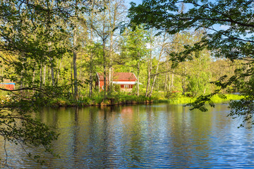 Fototapeta na wymiar River in the forest with a red cottage