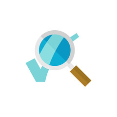 Flat icon - Magnifier check mark