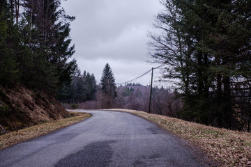 forest road