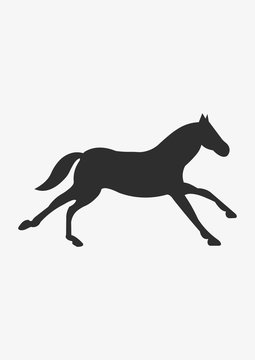 Running horse icon, Vector