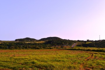 小浜島　　　　　　