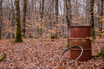 barrel in forest