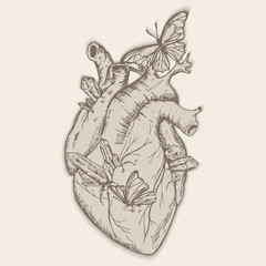 Illustration heart with crystals and butterflies. Retro. Vector