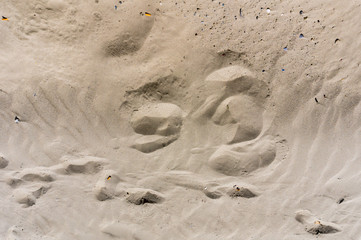 Sand photo for texture purpose