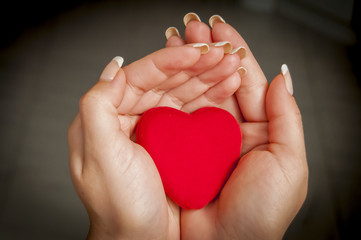 Obraz premium Woman's hands holding a little heart abstract image.