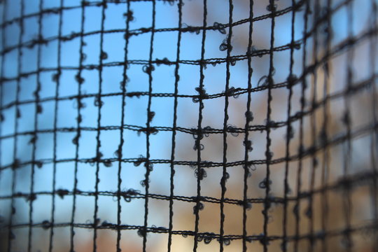 Close-up of a curtain and window view.