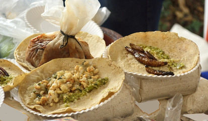 Fried insect and worm tacos from Mexican cuisine: Tacos of  Cuchamá worms and escamoles (ant eggs), and rabbit mixiote