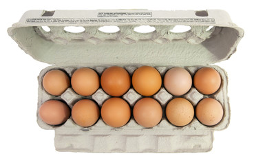 Dozen organic free range brown eggs in recycled paper carton. Isolated.