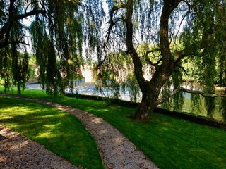 Obraz premium Park near the river