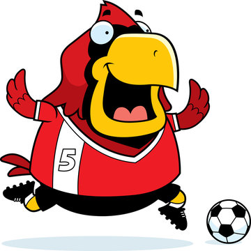 Cartoon Cardinal Soccer