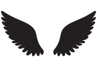 Vector Wings Icon