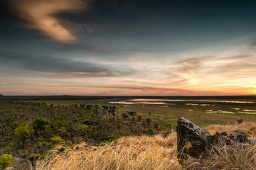 The Nadab floodplains from the top of Ubirr rock. Australia