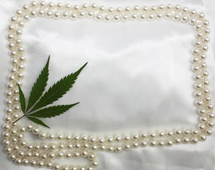 Wedding hippie original bridal satin white background with pearls frame and marijuana pressed leaf...