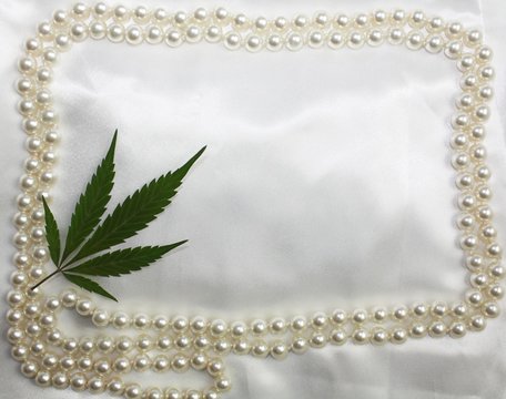 Wedding hippie original bridal satin white background with pearls frame and marijuana pressed leaf in corner. Invitation card, freedom ganja backdrop.