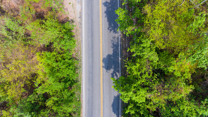 Aerial view of the road through forest.