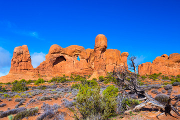 Fototapeta premium Sandstone rock formations