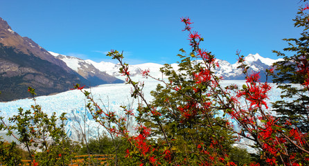 Perito Moreno Glacier