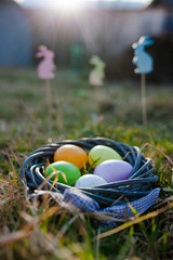 Easter eggs and bunnies in grass. Festive decoration for a Happy Easter.