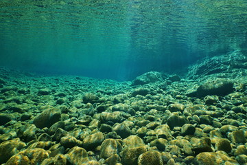 Flusskiesel unter Wasser auf dem Flussbett mit klarem Süßwasser und Sonnenlicht durch die Wasseroberfläche, natürliche Szene, Dumbea, Neukaledonien, Südpazifik