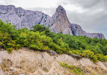 Coast of the Black Sea in cloudy weather, Crimea. Dense thickets of trees on the slopes of the mountains in the foreground