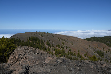 Auf dem Pico Nambroque, La Palma,