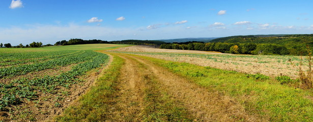 Panorama herbstliche Felder im Hunsrück in der Nähe von Enkirch an der Mosel
