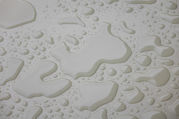 Water drops on white  blackground .