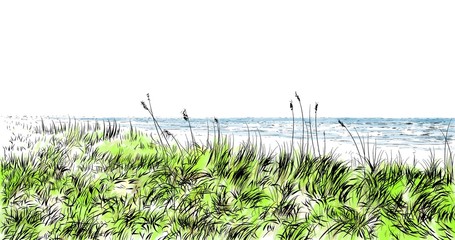Tropical Beach