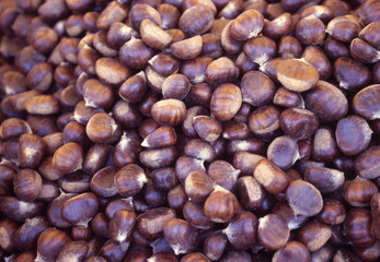 castagne