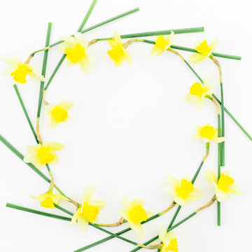 Frame of narcissus on white background. Flat lay, top view. Floral background.