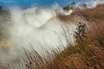 Sulfur vents