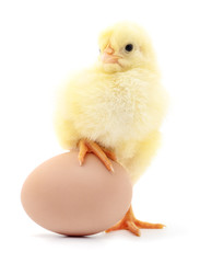 Chicken and egg.