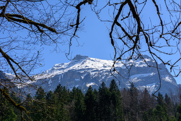 Bergspitze mit Schnee durch den Wald sehen